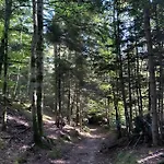 Duplex -cirey-sur-vezouze Hébergement de vacances *