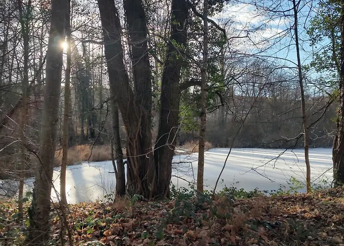 Duplex -cirey-sur-vezouze Hébergement de vacances Cirey-sur-Vezouze